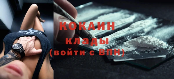 хмурый Белокуриха