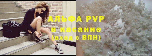 хмурый Белокуриха