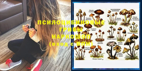 хмурый Белокуриха