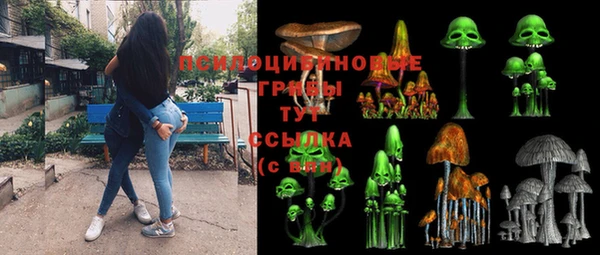 хмурый Белокуриха