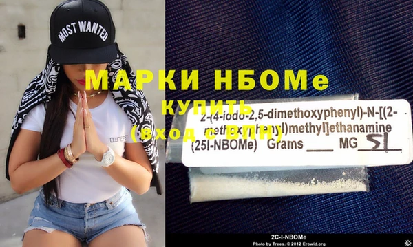 хмурый Белокуриха