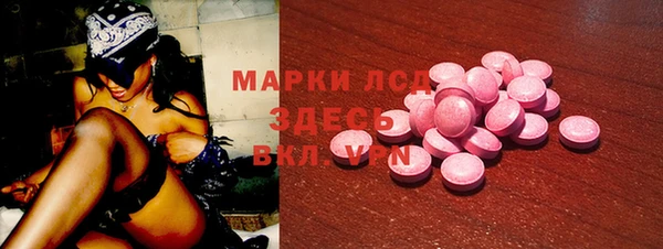 хмурый Белокуриха