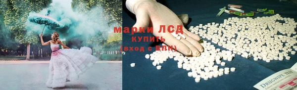 хмурый Белокуриха